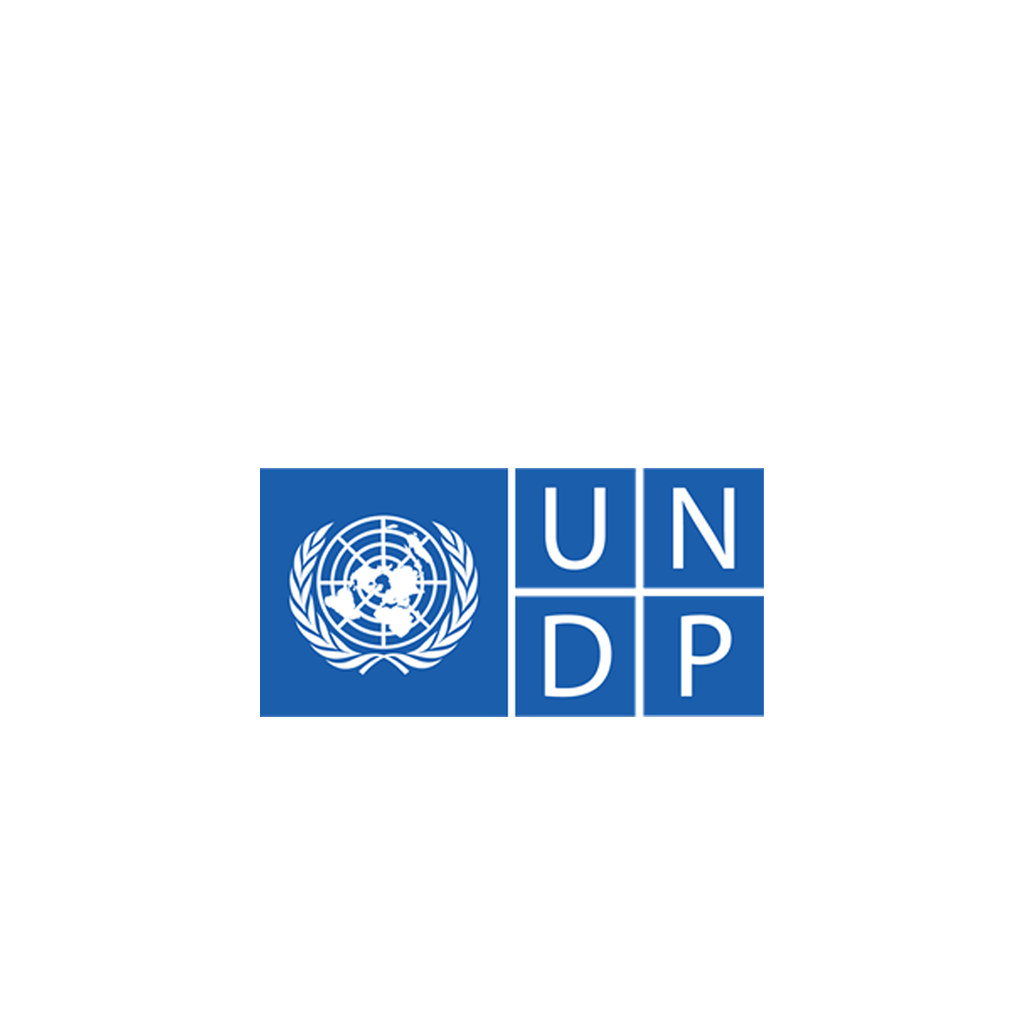 UNDP
